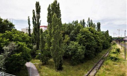 Istrochem sa zbavuje pozemkov, lesík nahradia bytovkou: Obyvatelia Nobelovej prídu o vyše 5000 m2 zelene!