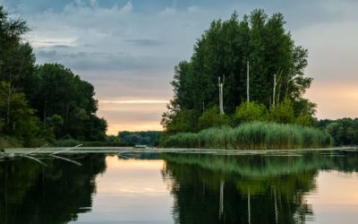 Náš prvý nížinný národný park vznikne na Dunaji, financovaný bude aj vďaka eurofondom