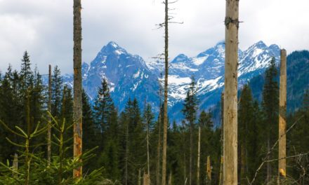 V Tatranskom národnom parku sa chcú pripraviť na klimatické zmeny